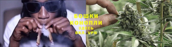 дживик Саяногорск