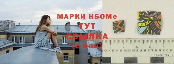 дживик Саяногорск
