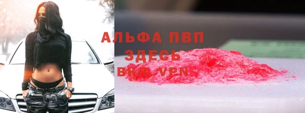 спайс Алзамай
