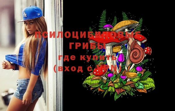 дживик Саяногорск