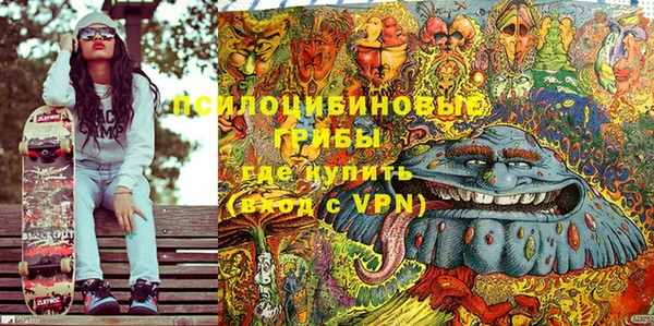 дживик Саяногорск