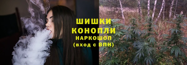 дживик Саяногорск
